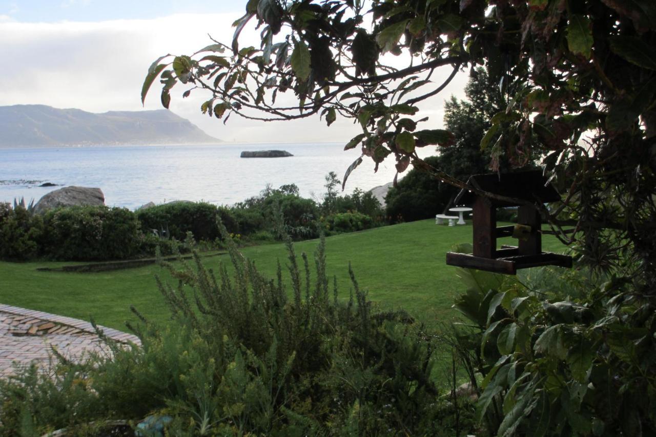 Bosky Dell on Boulders Beach Simonʼs Town Buitenkant foto