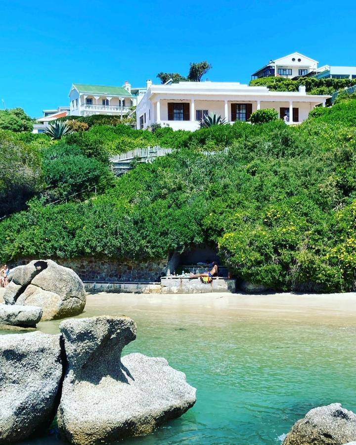 Bosky Dell on Boulders Beach Simonʼs Town Buitenkant foto
