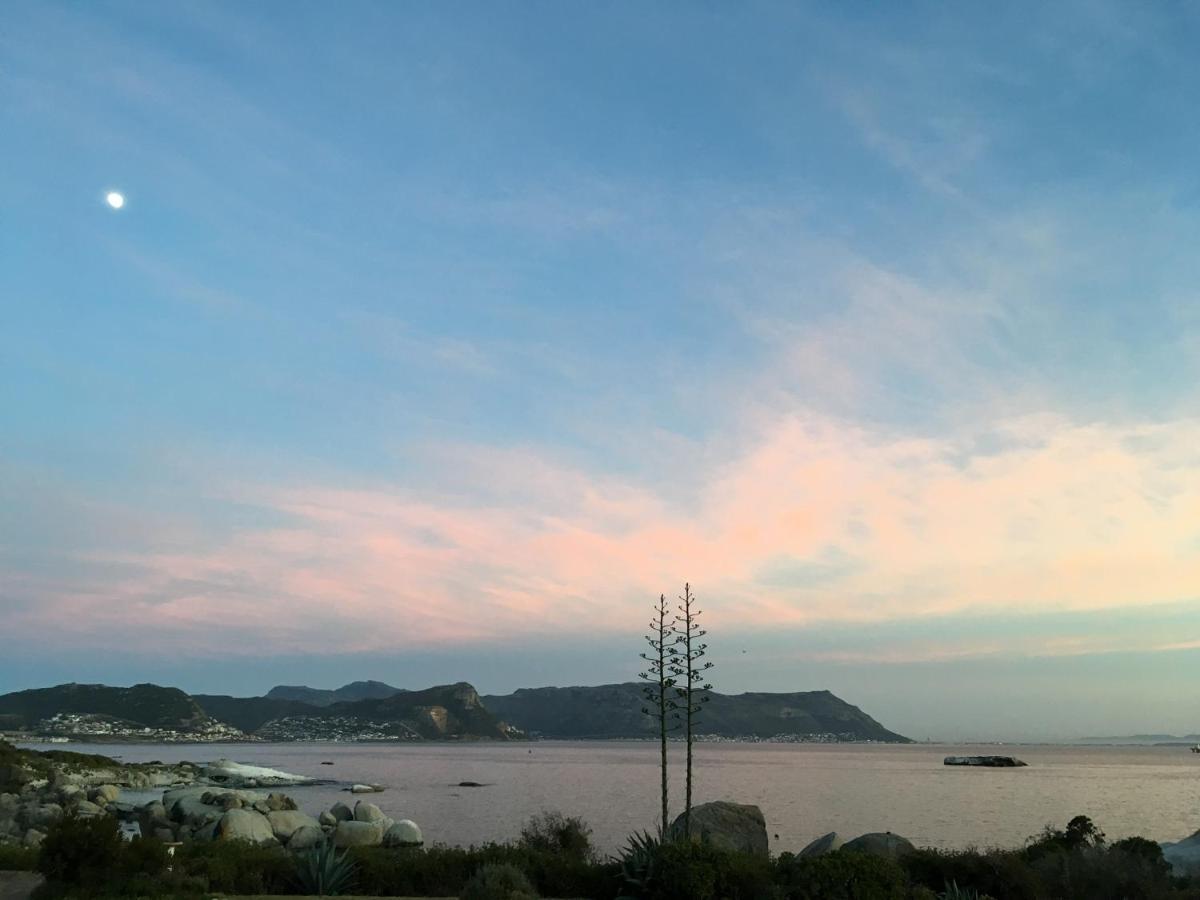 Bosky Dell on Boulders Beach Simonʼs Town Buitenkant foto