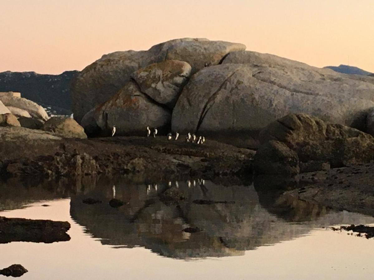 Bosky Dell on Boulders Beach Simonʼs Town Buitenkant foto