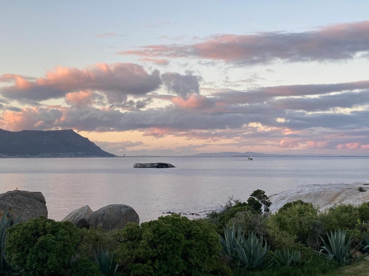 Bosky Dell on Boulders Beach Simonʼs Town Buitenkant foto