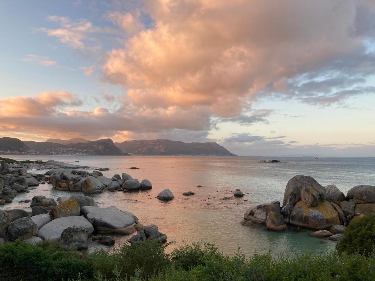 Bosky Dell on Boulders Beach Simonʼs Town Buitenkant foto