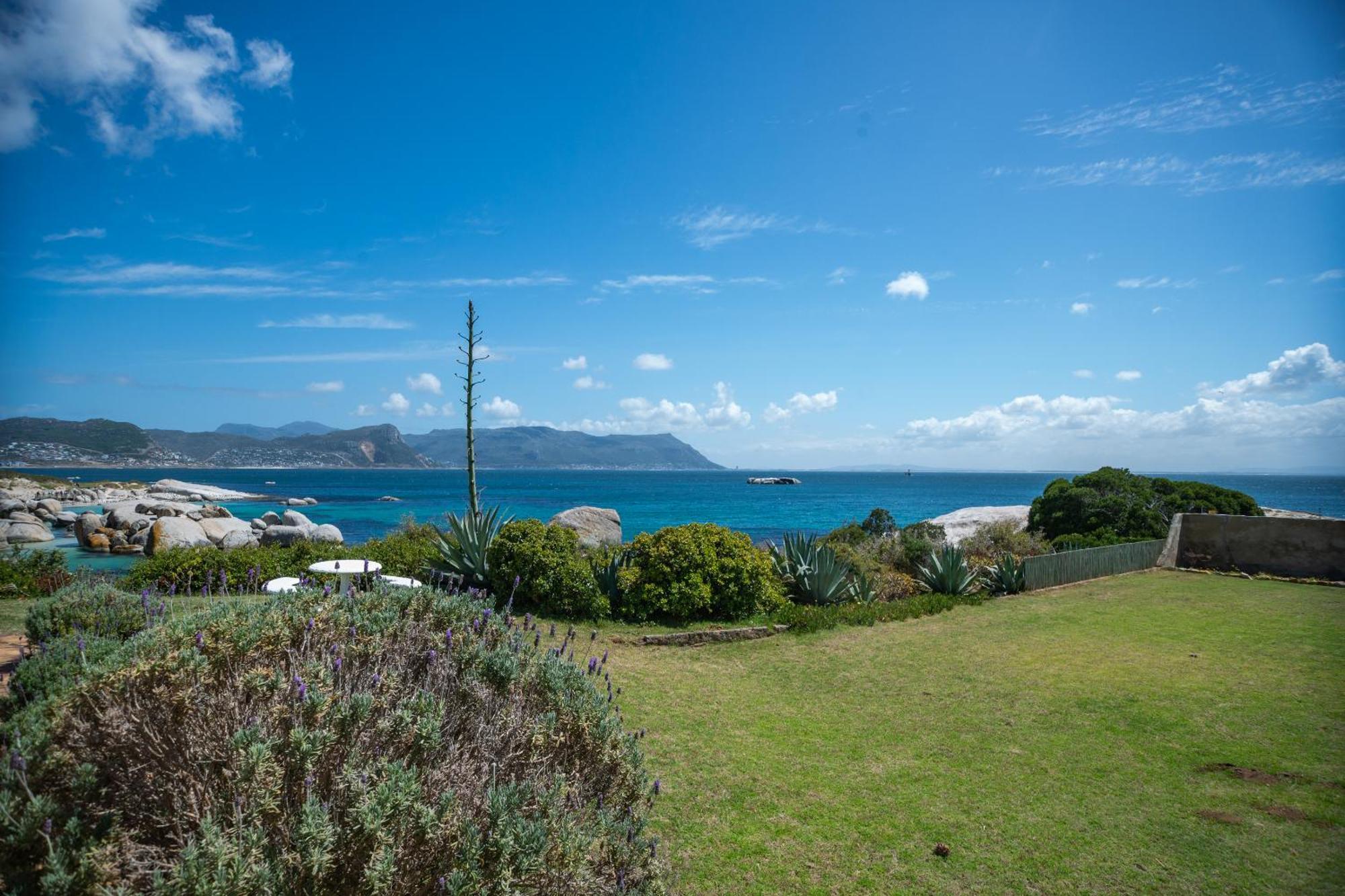 Bosky Dell on Boulders Beach Simonʼs Town Buitenkant foto